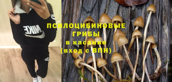spice Арсеньев