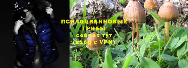spice Арсеньев
